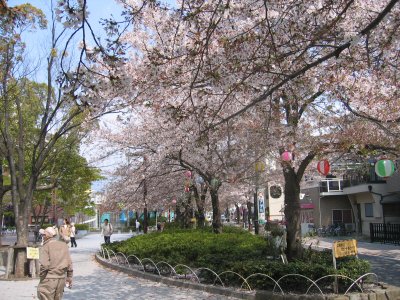 ���炩��V��